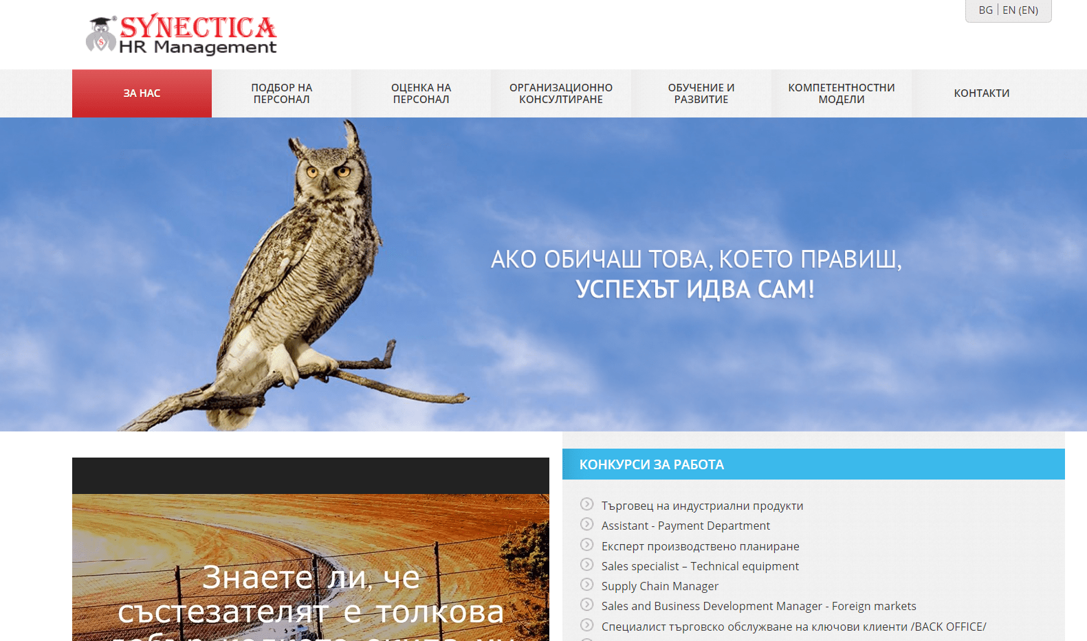 Synectica HR Management business website development