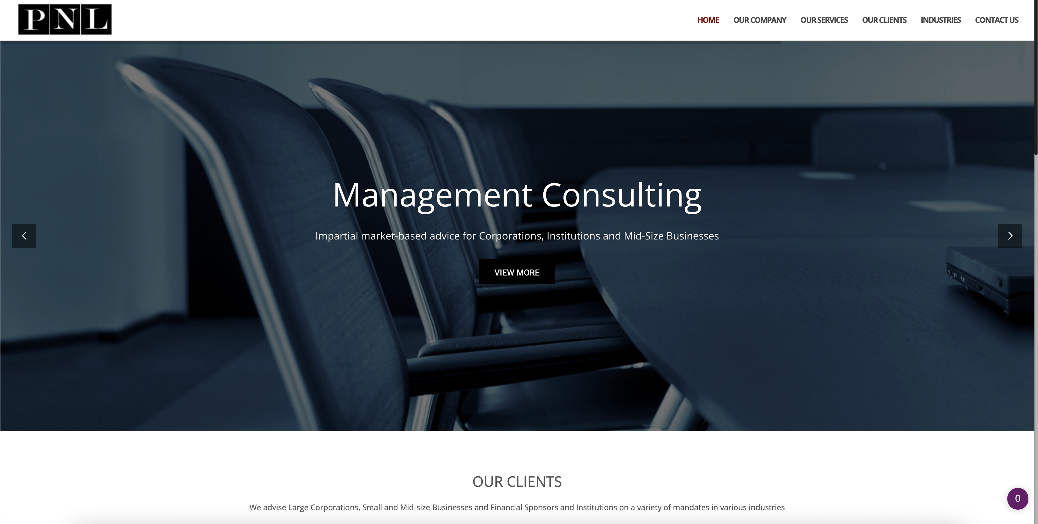 PNL Business Website