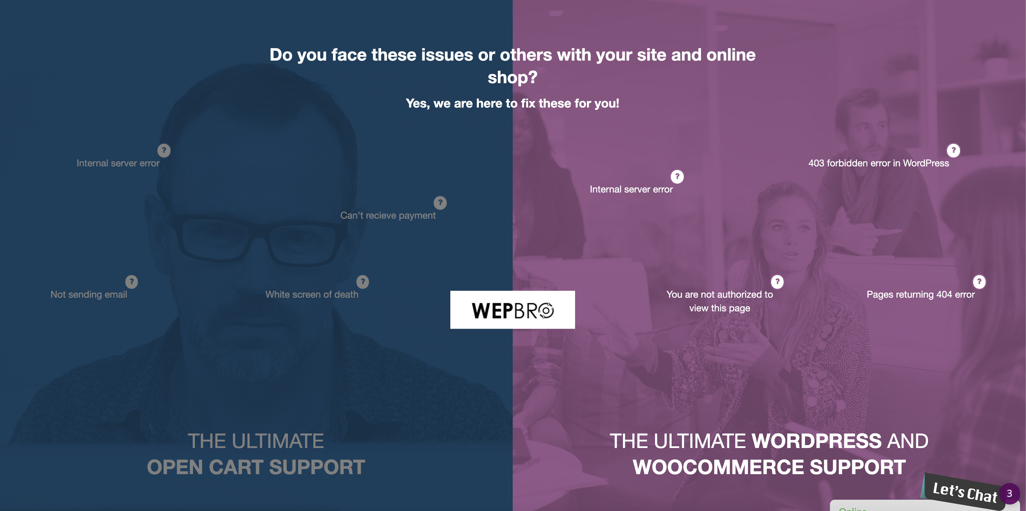 Wepbro WooCommerce and Opencart support client managment