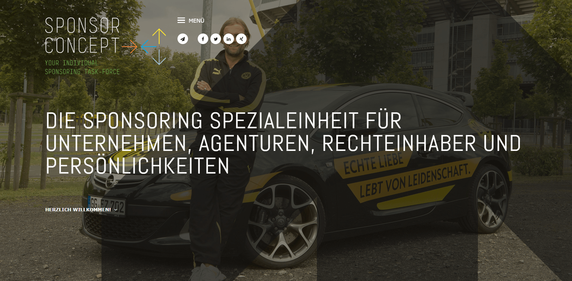 Sponsor Concept Business website
