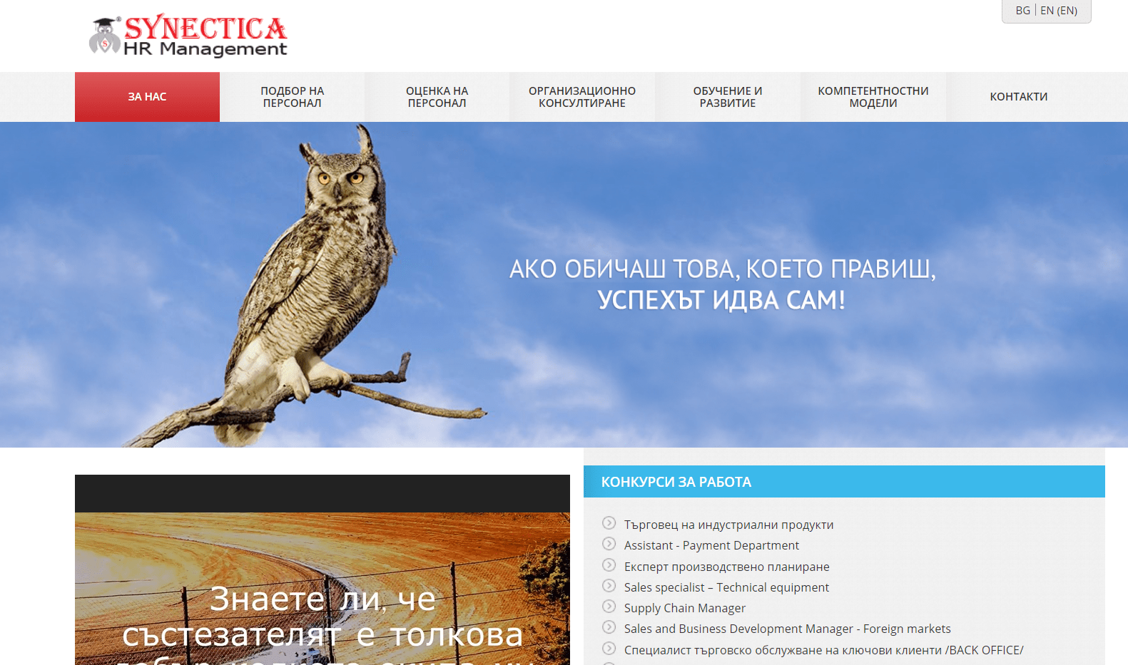 Synectica representative web site